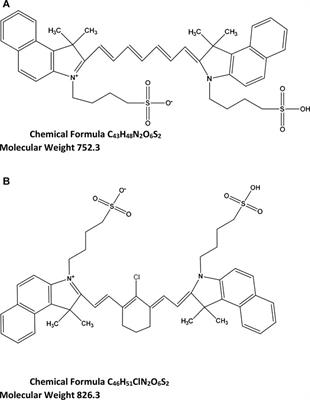 Development and Validation of a Bioanalytical UHPLC-MS/MS Method Applied to Murine Liver Tissue for the Determination of Indocyanine Green Loaded in H-Ferritin Nanoparticles